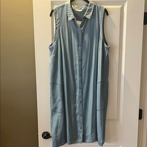 Jjill Sleeveless Denim Dress XL